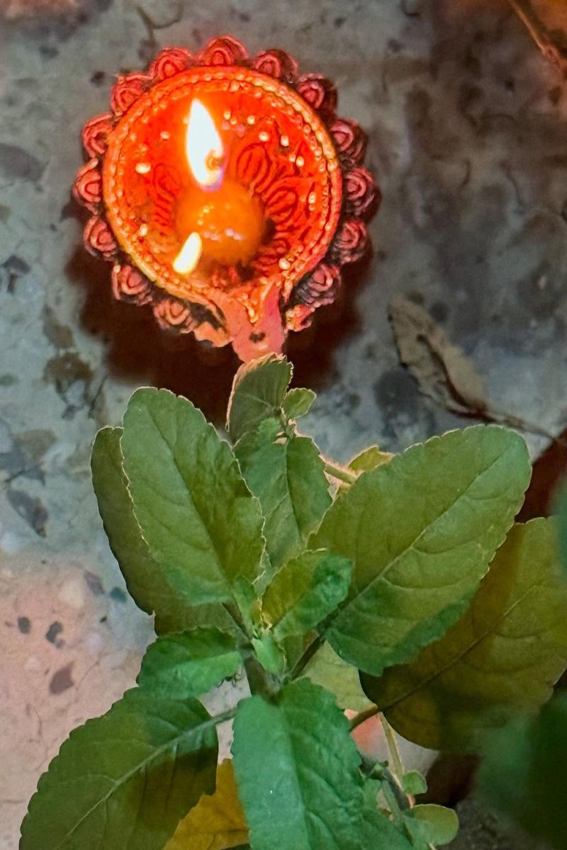 chaturmas mein tulsi ke paas diya jalane ke niyam