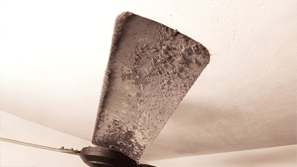 how to clean fan without chemical cleaner