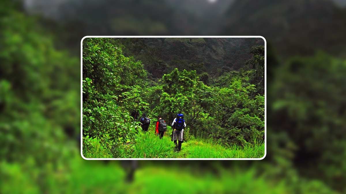 best monsoon places to visit in goa1