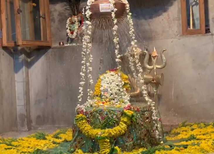 15604108240521_untitled-11_copy_5