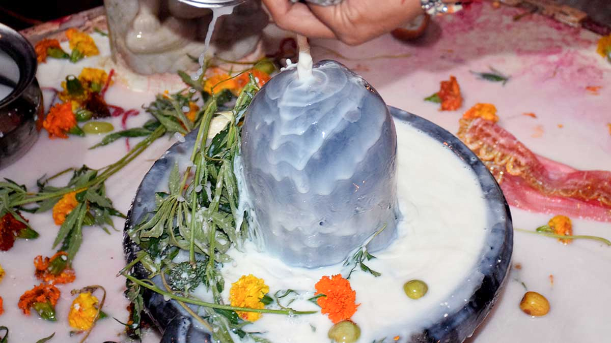 offer milk to shivling