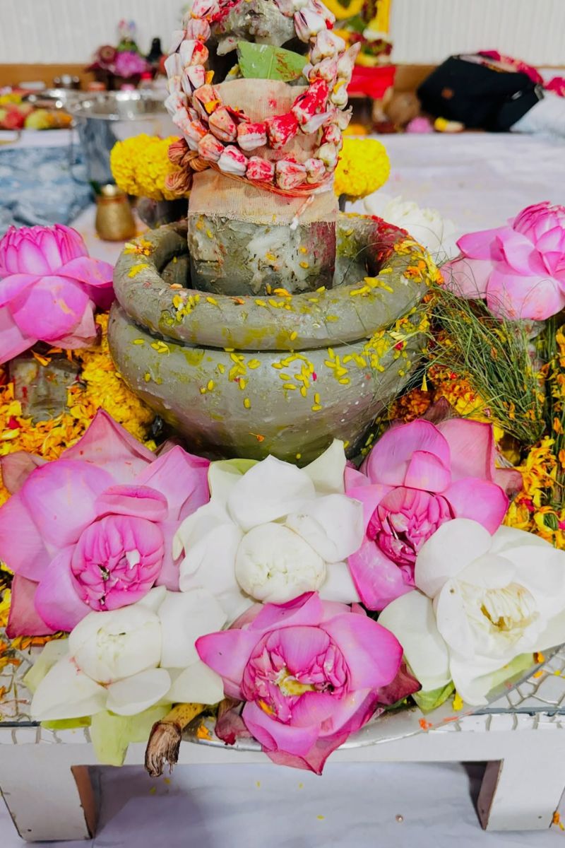 sawan panchak 2025 mein kya na kare