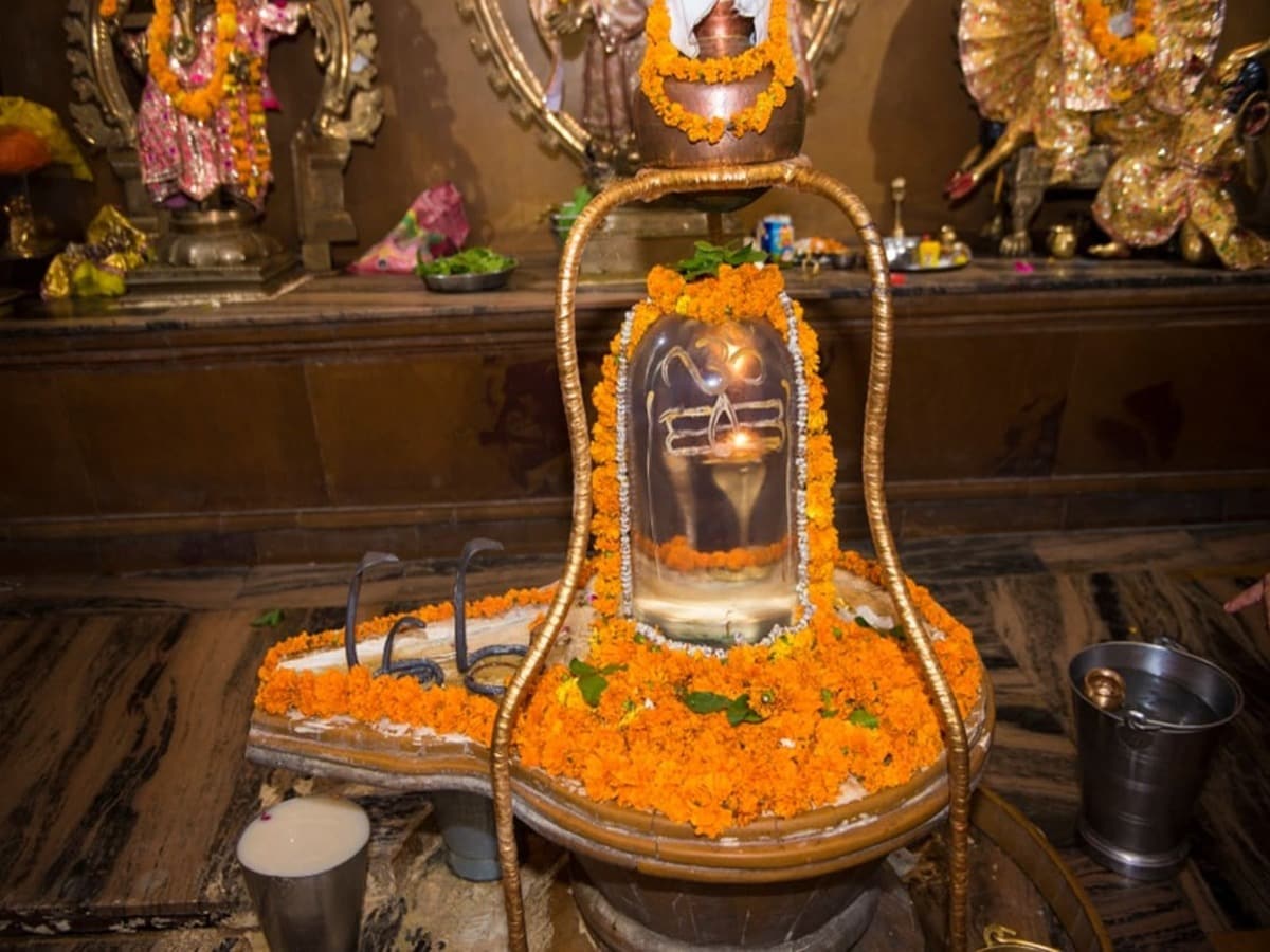 shutterstock_1268280007_New_1740383595779_1740537517130