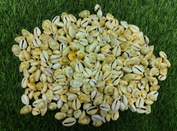 Screenshot 2025-07-15 141405