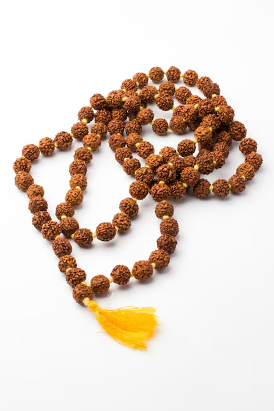 rudraksh significance by astrologer