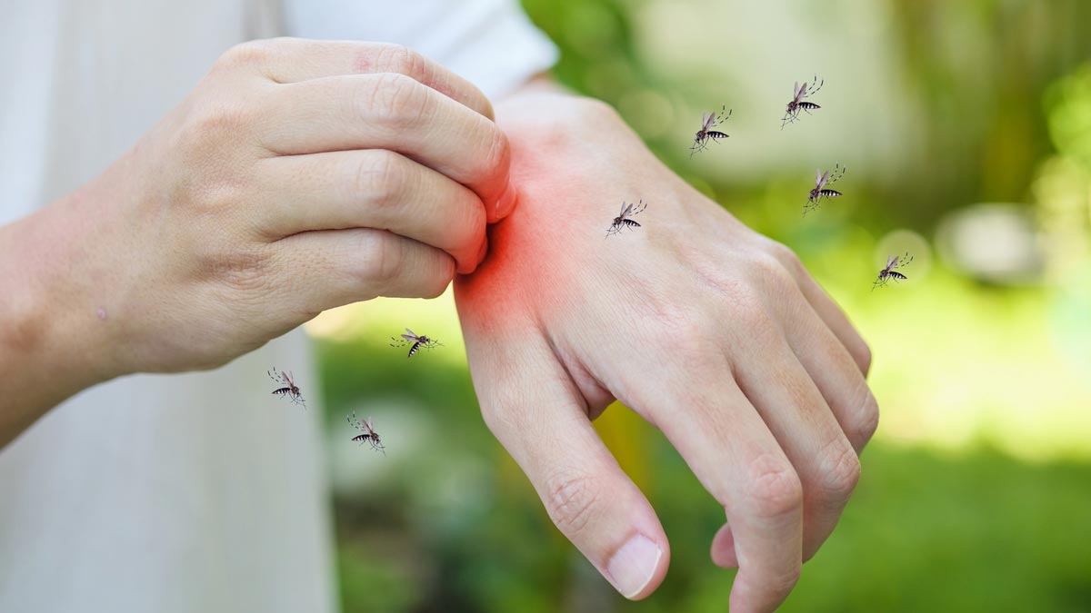 Drive away insects and spiders with these things