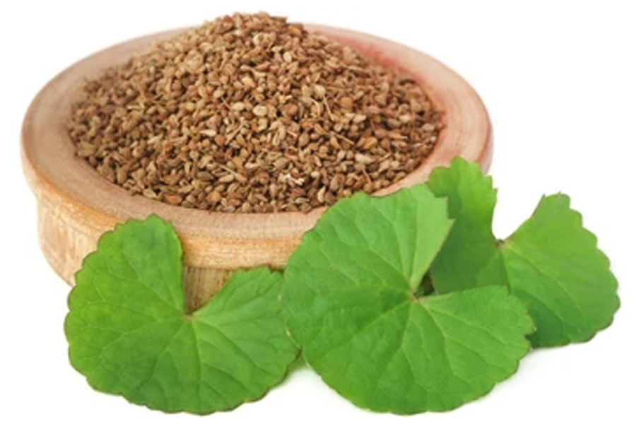 ajwain seeds leaves benefits