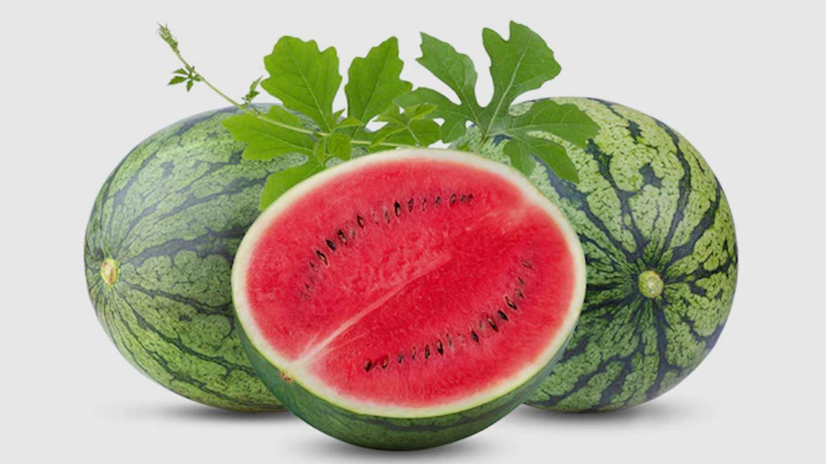monsoon and water melon