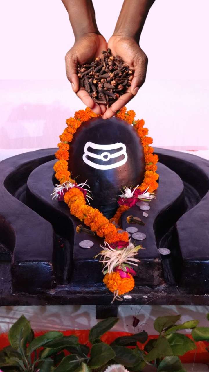 what-happens-if-you-offer-pair-of-cloves-laung-to-shivling-1740128099