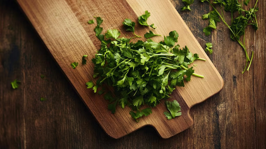 how to dry coriander at home