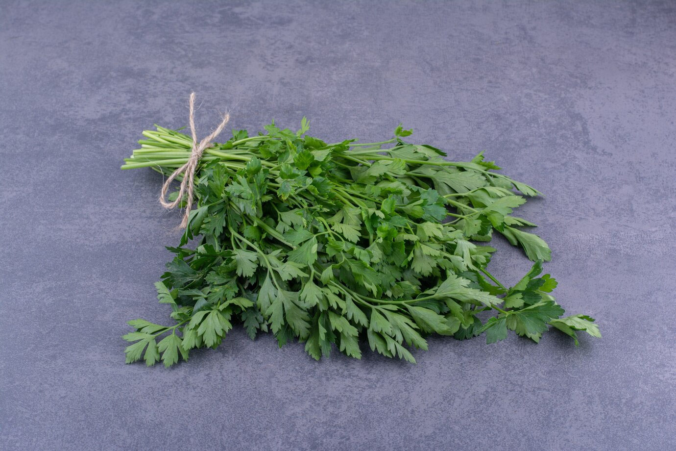 storing dried coriander leaves