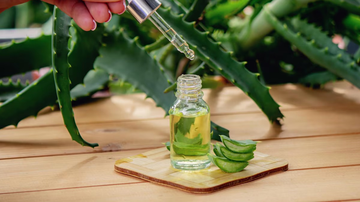 2 - 2025-07-18T182110.924