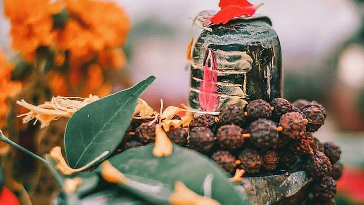 kya shivling pr chadha hua bel patra khana chahiye