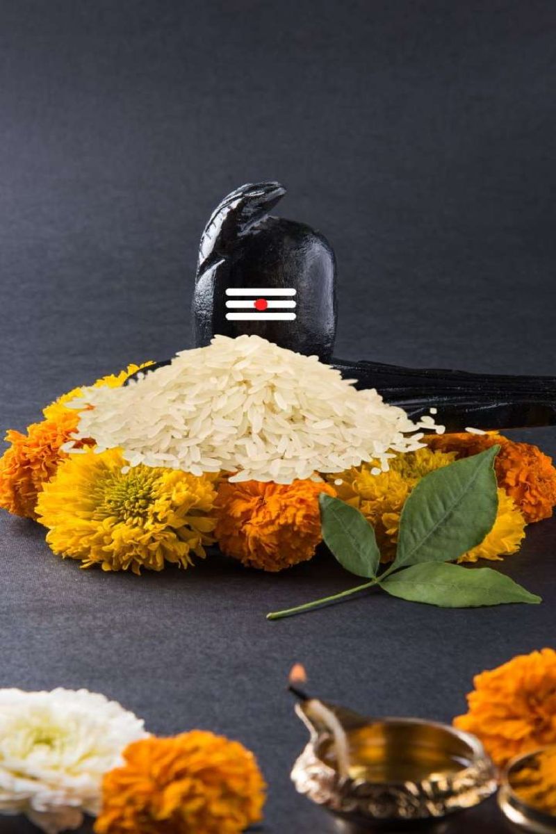 rice remedies on sawan somwar