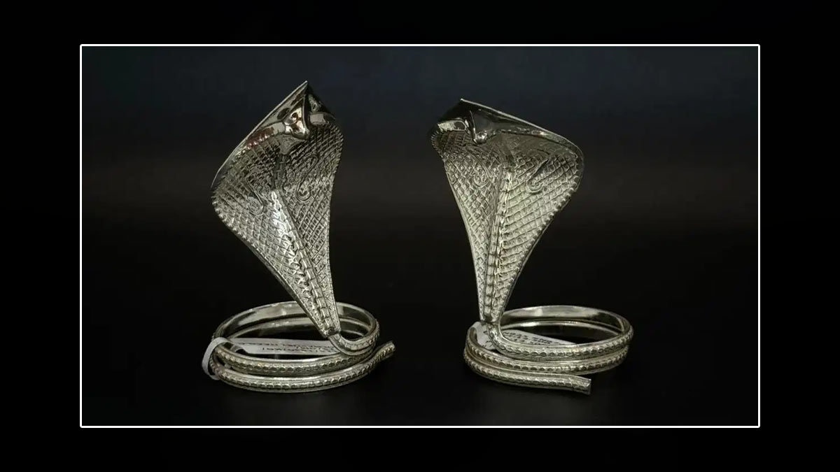 nag panchami 2025 offer these things to shivling to get rid of kaal sarp dosh