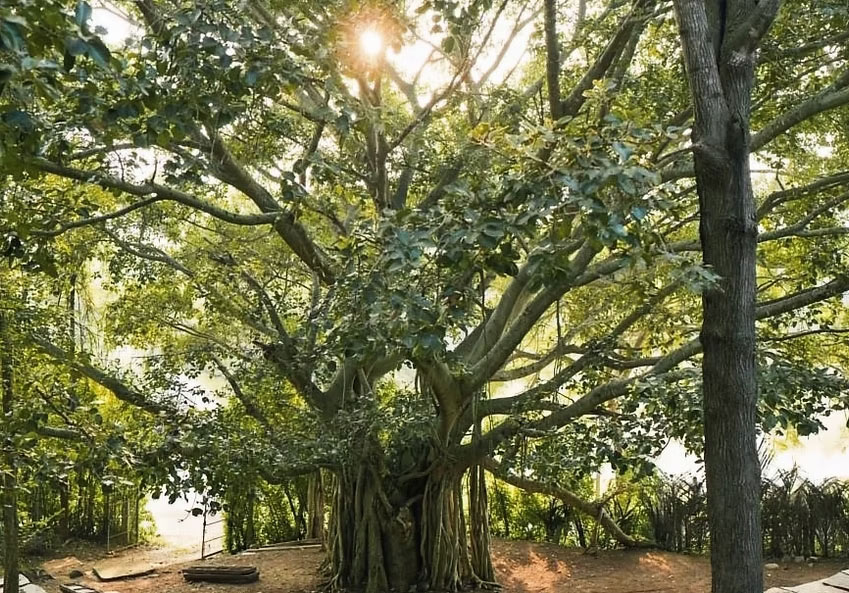 2 - 2025-07-24T182434.450