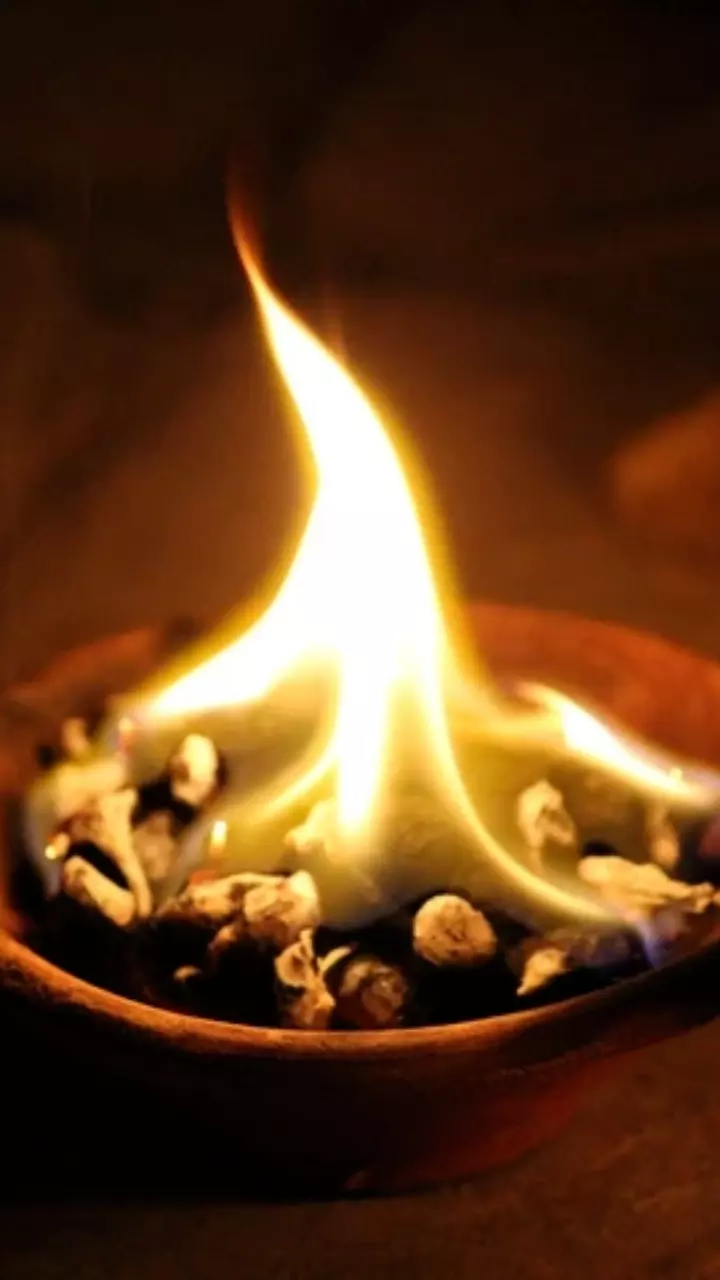 download---2024-09-09T160906962_66ded05724736