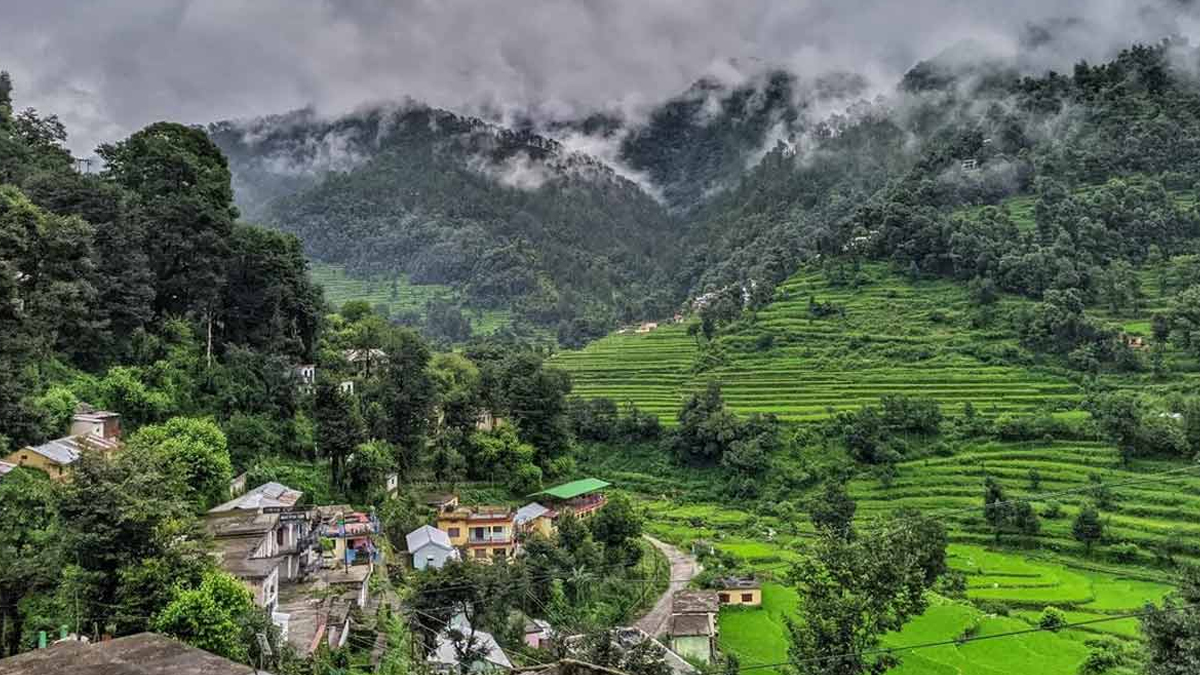 Why Ghansali Is Famous