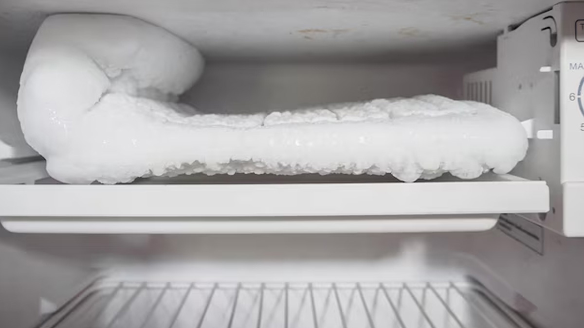 Leave the refrigerator door open