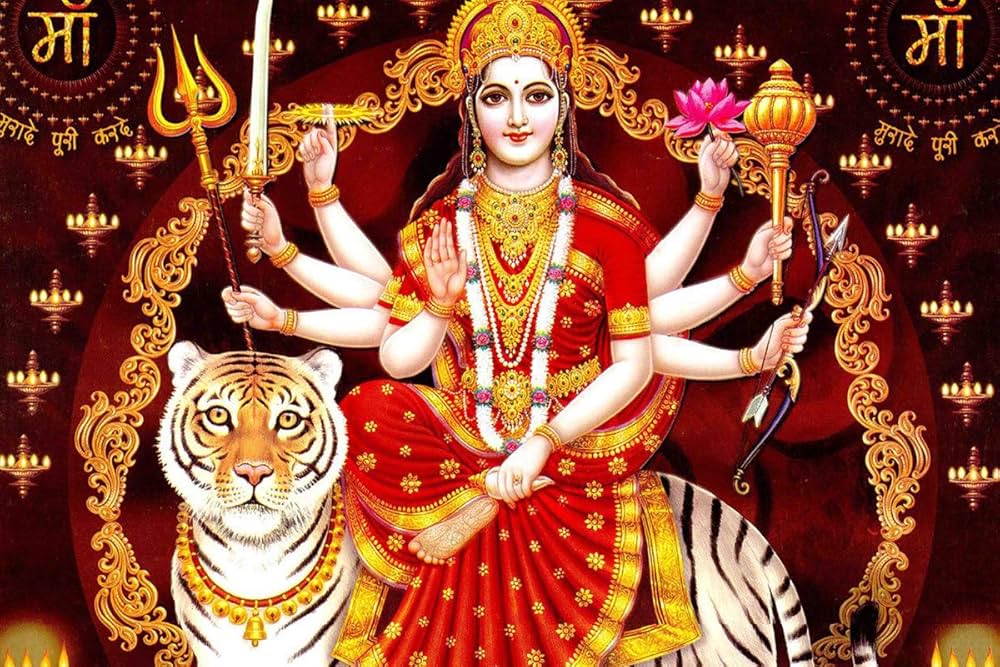 71DtIO0USJL._UF1000,1000_QL80_