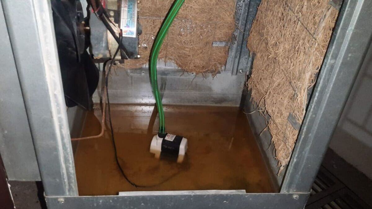 Keep the cooler water clean