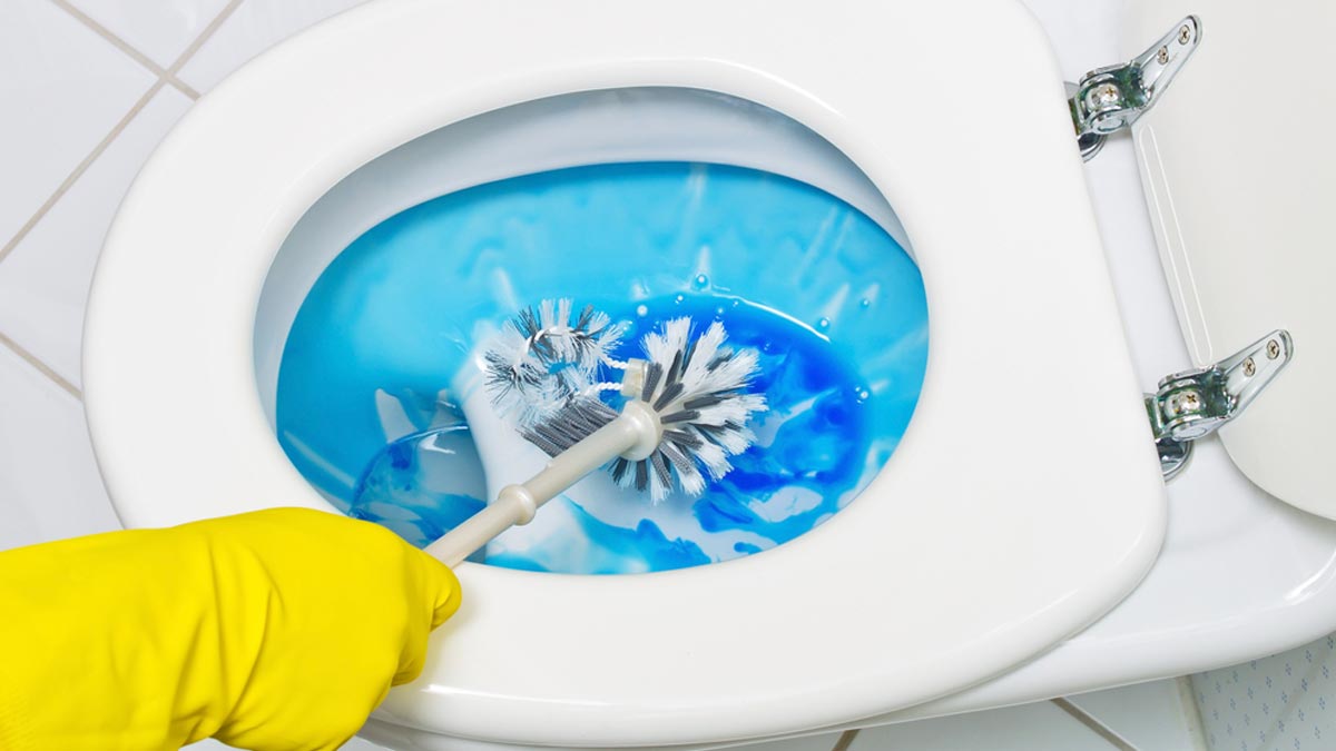 vinegar hack to clean toilet