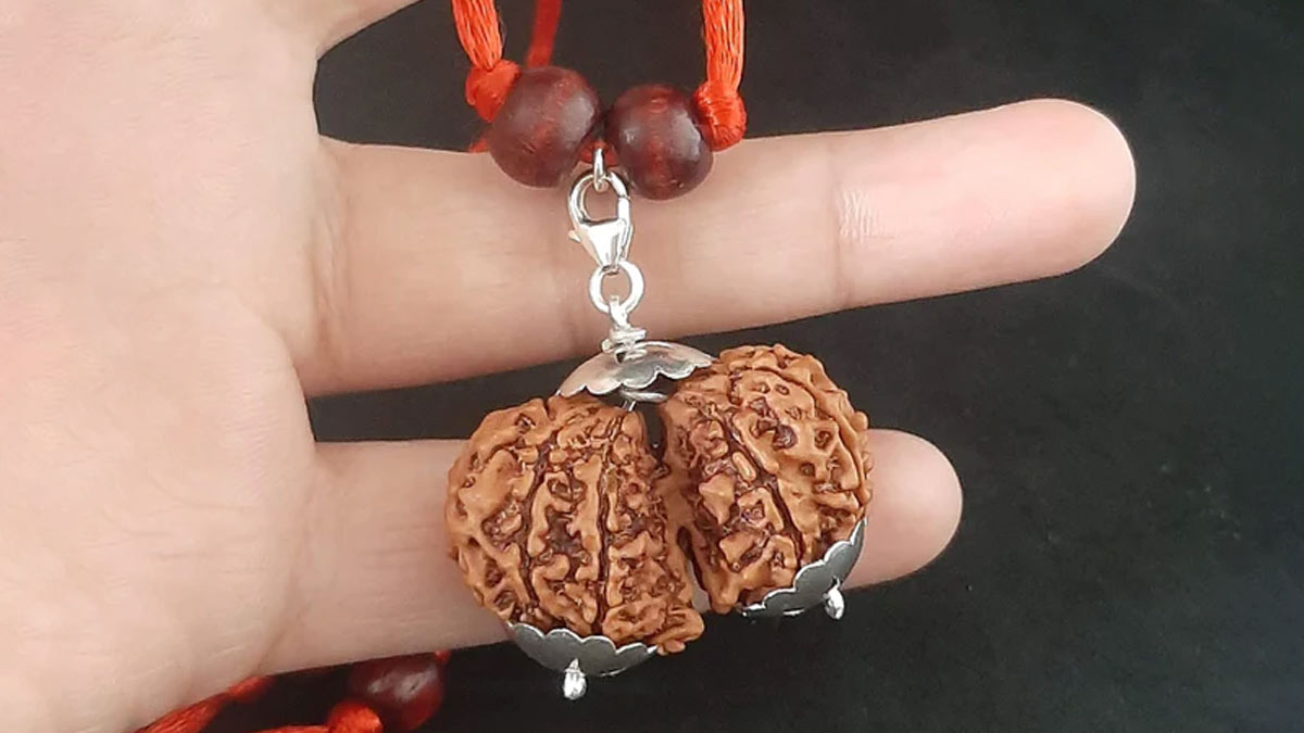 13 मुखी रुद्राक्ष पहनने से कार्यक्षेत्र में मिल सकती है सफलता, जानें सही विधि और नियम