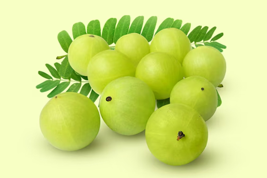 amla rich in vitamin c