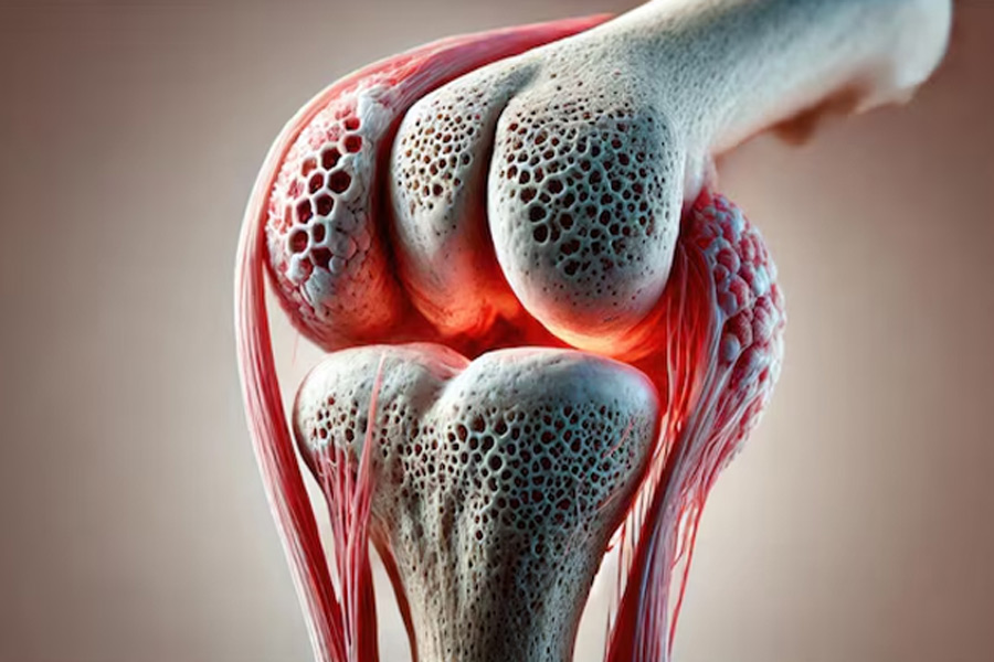 tukmalanga for joint pain