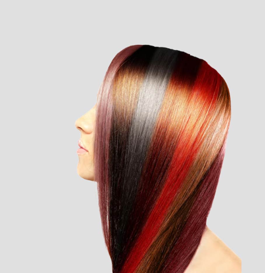 1 - 2025-08-11T140941.522