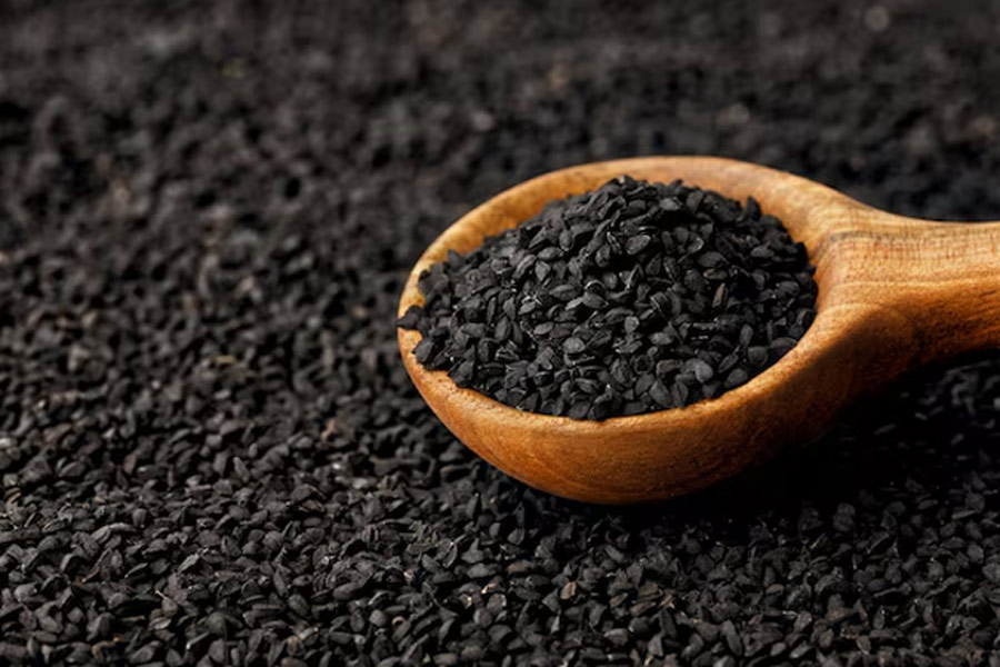 2 - 2025-08-13T153623.966