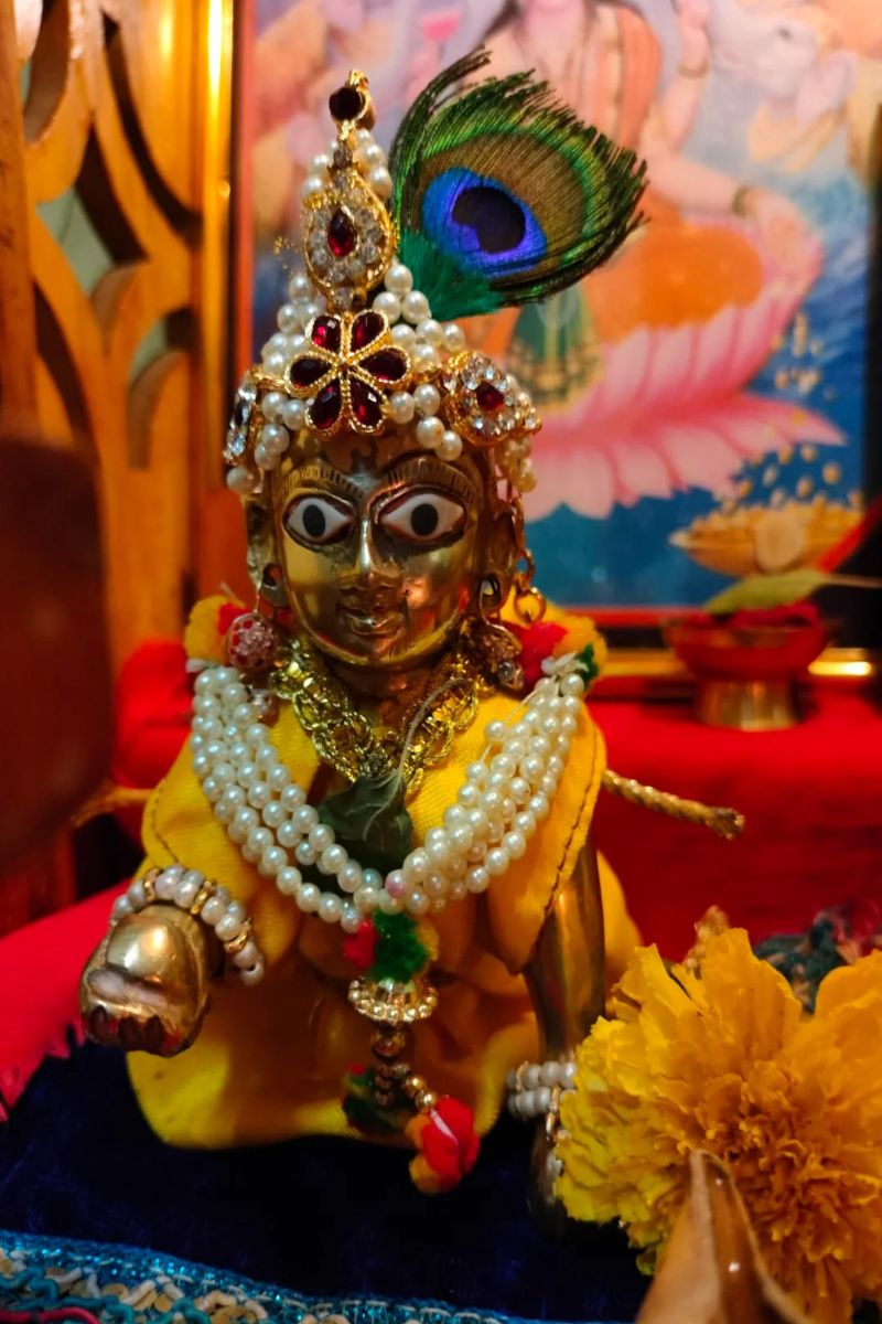 janmashtami remedies