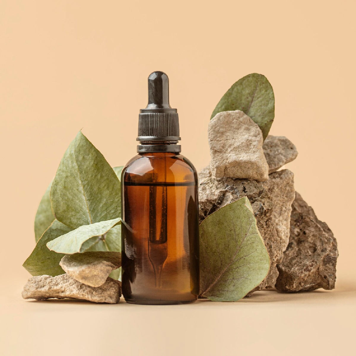 3 - 2025-08-18T153015.988