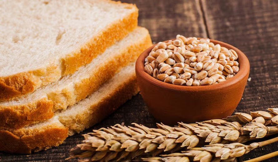Wheat contains gluten bad for thyroid health