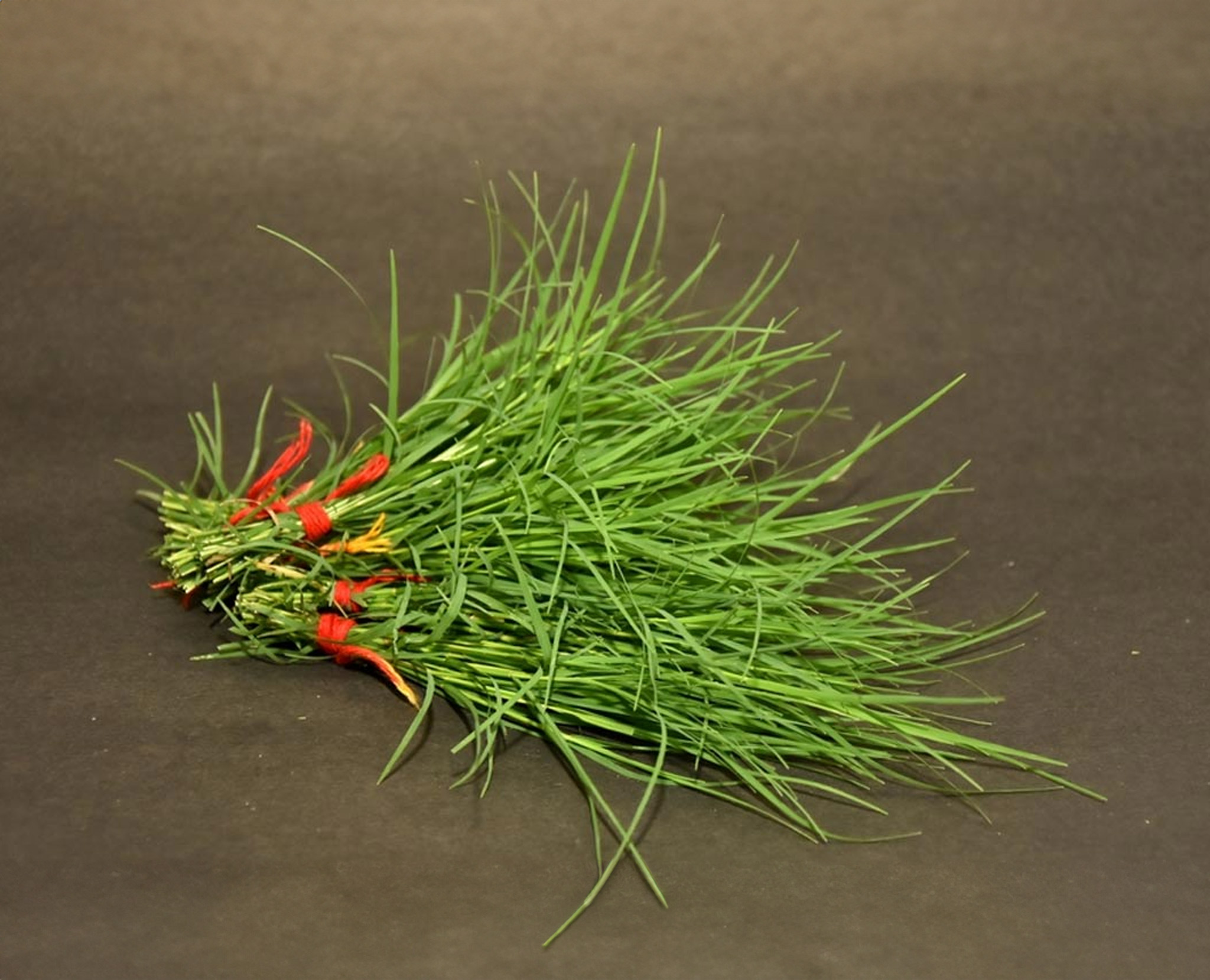 ganesh chaturthi pr durva ke upay