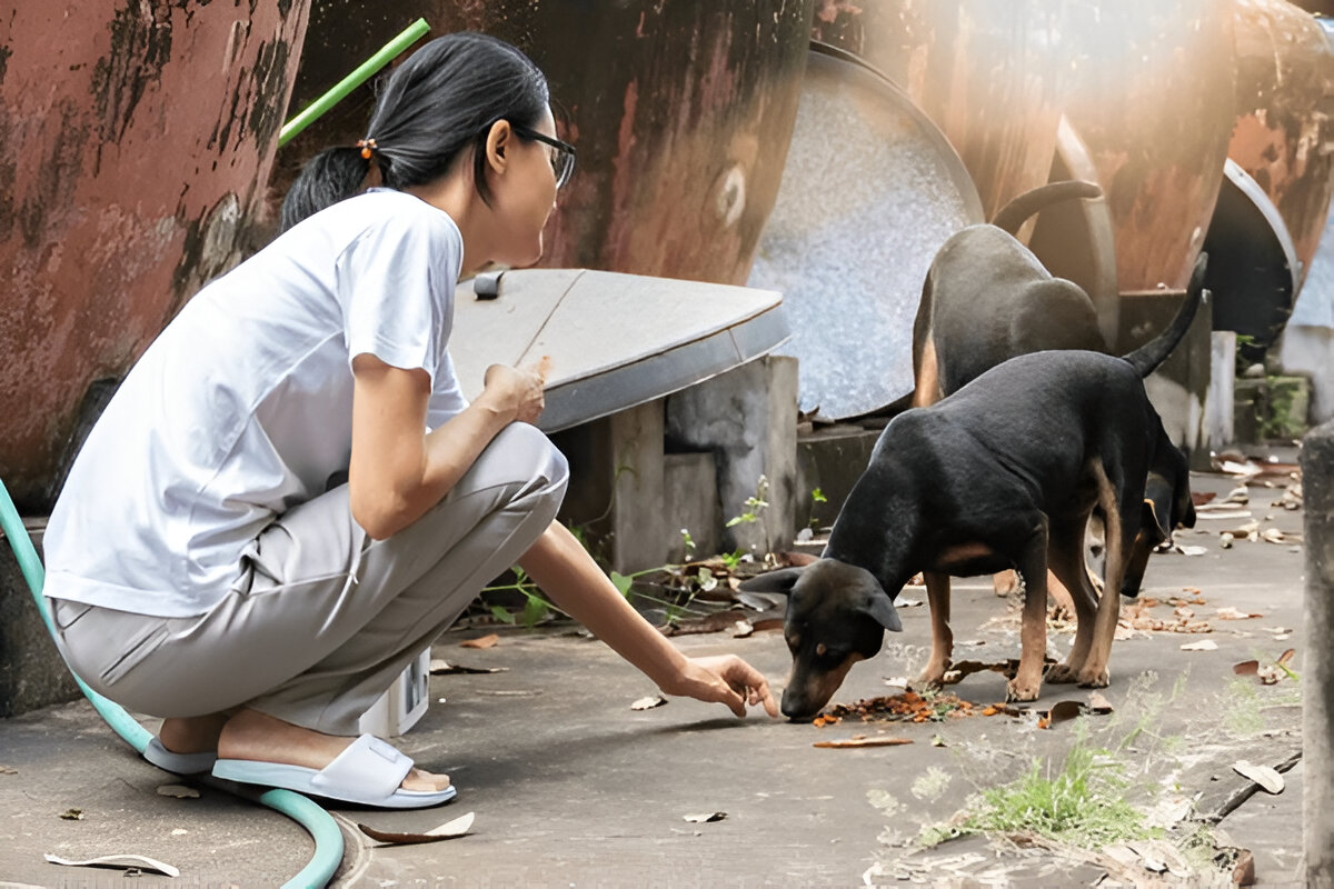 Dog food astrology tips