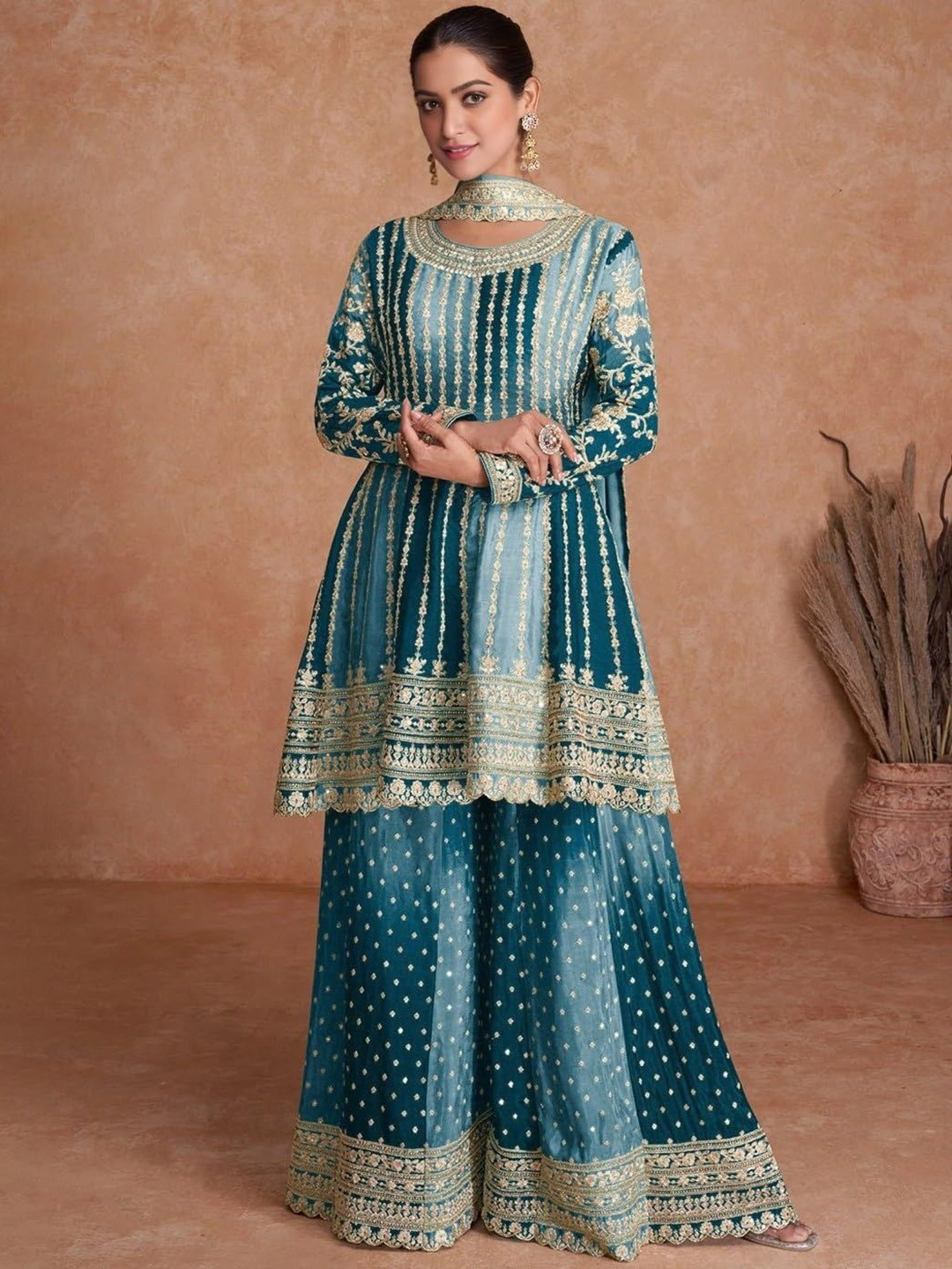 Sharara suit look (2)