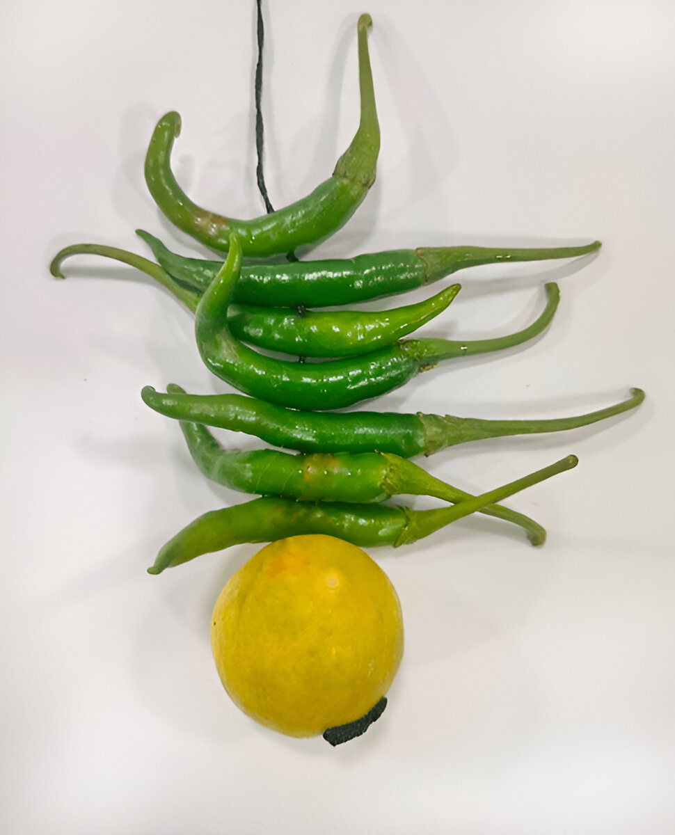 lemon chilli on road