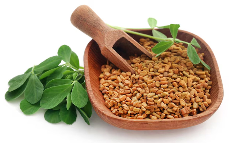 methi dana and hair care