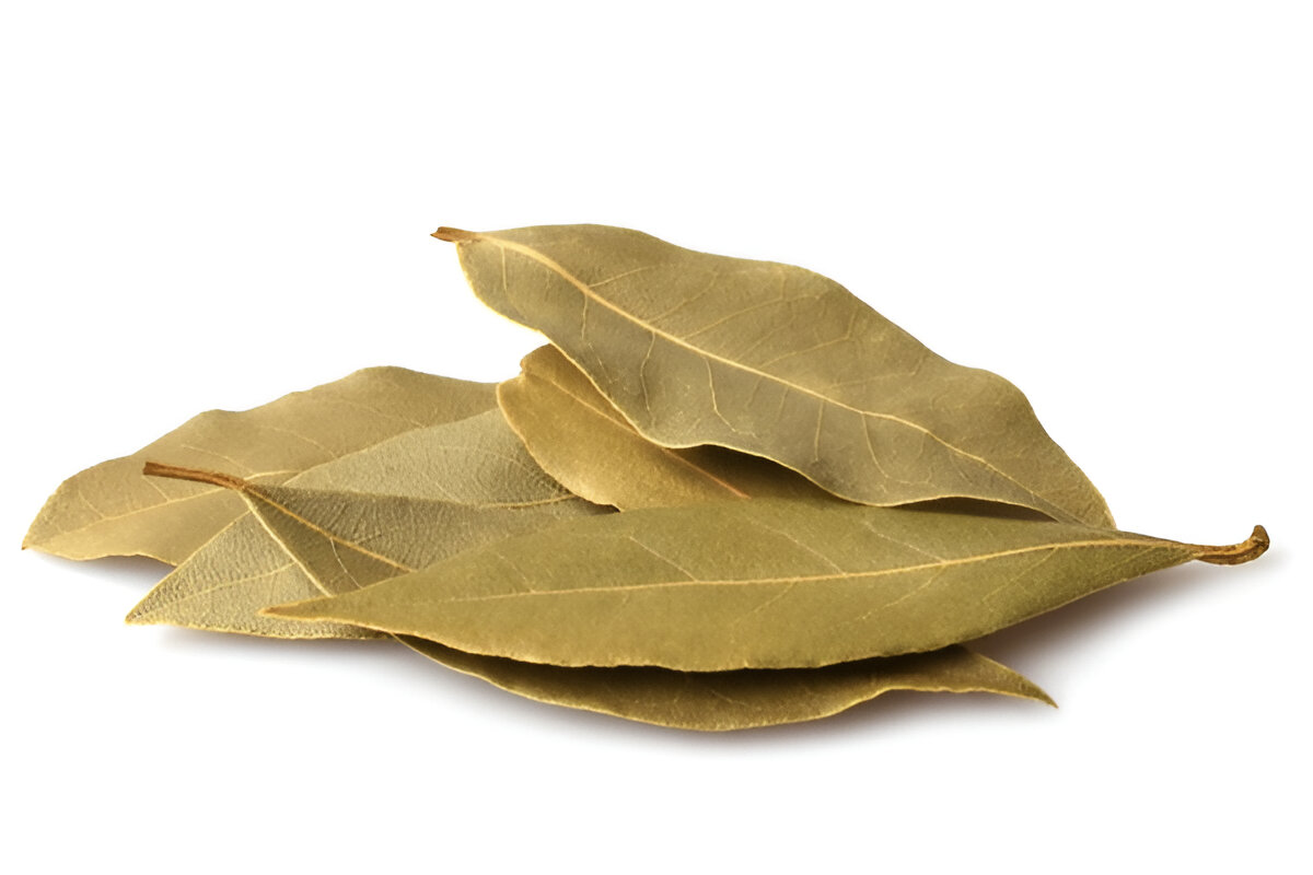 Bay Leaf