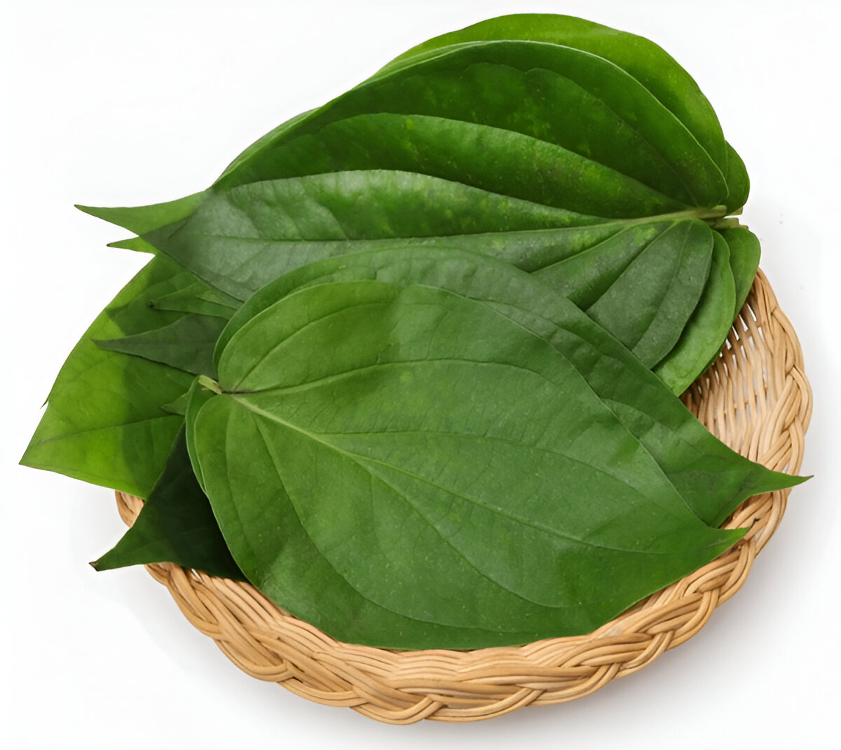 Paan Leaf