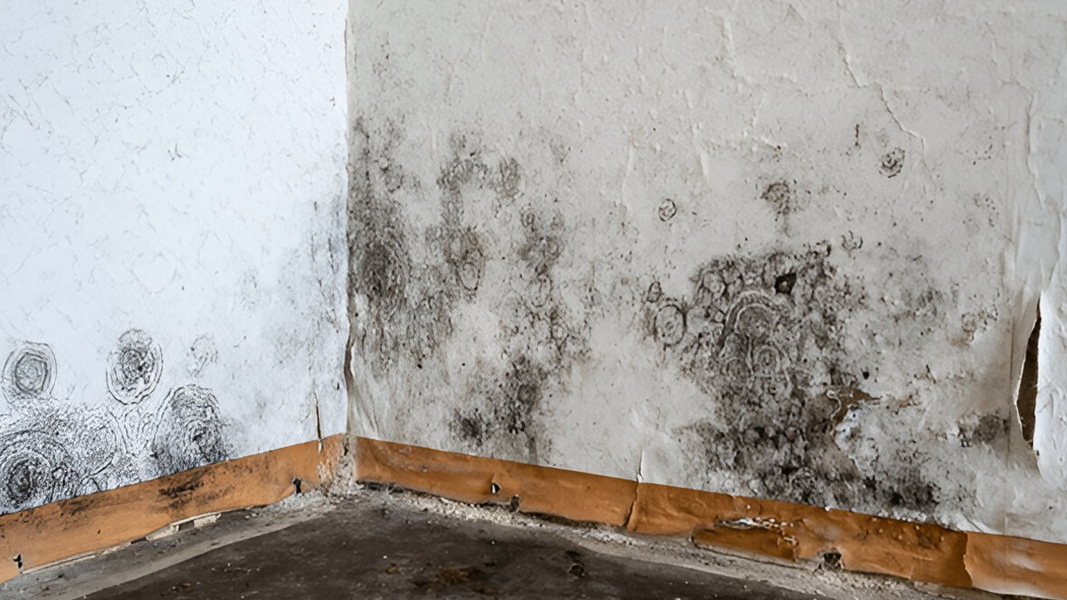 how to stop dampness in a house