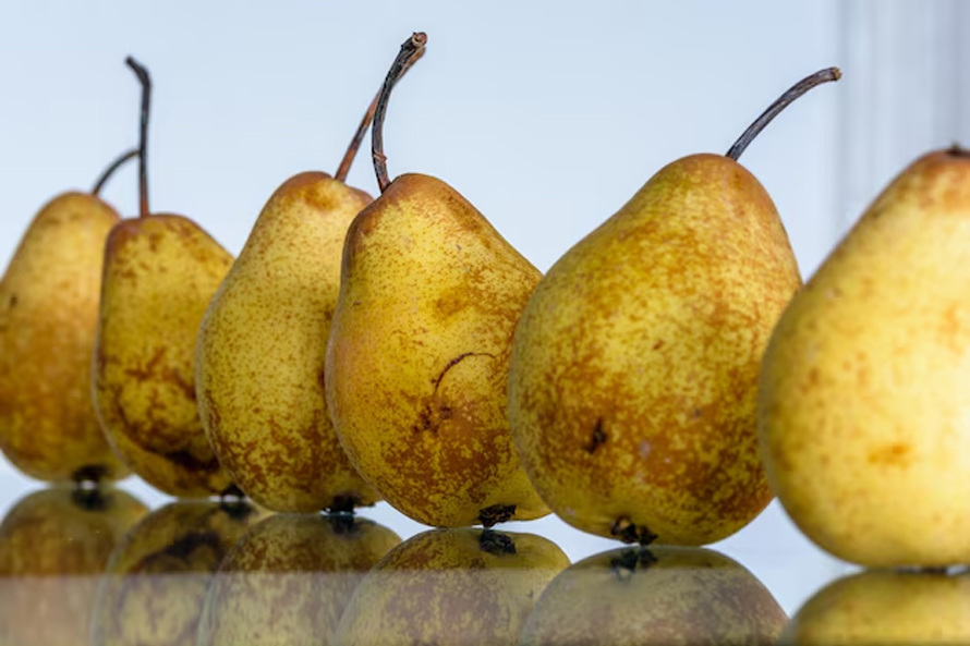 pear fruits