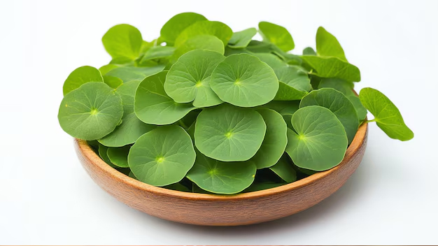 Does Brahmi improve memory