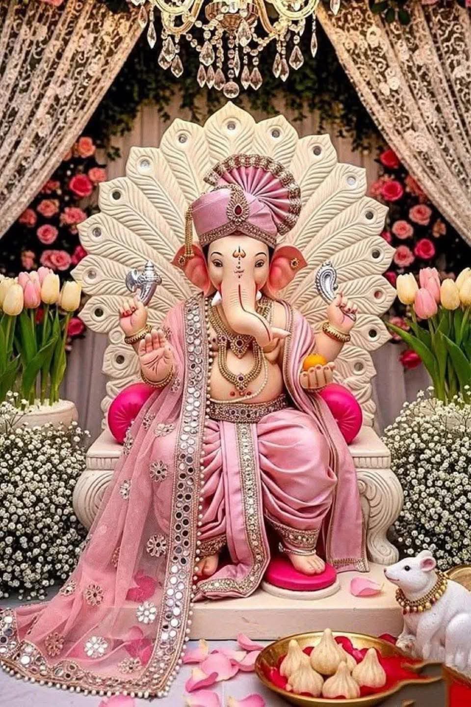 WhatsApp Image 2025-08-27 at 1.36.27 PM