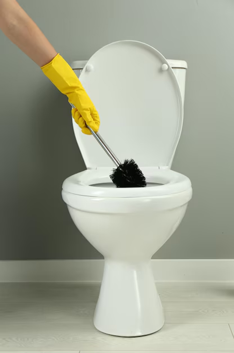 easy hack to clean toilet seat with fitakri