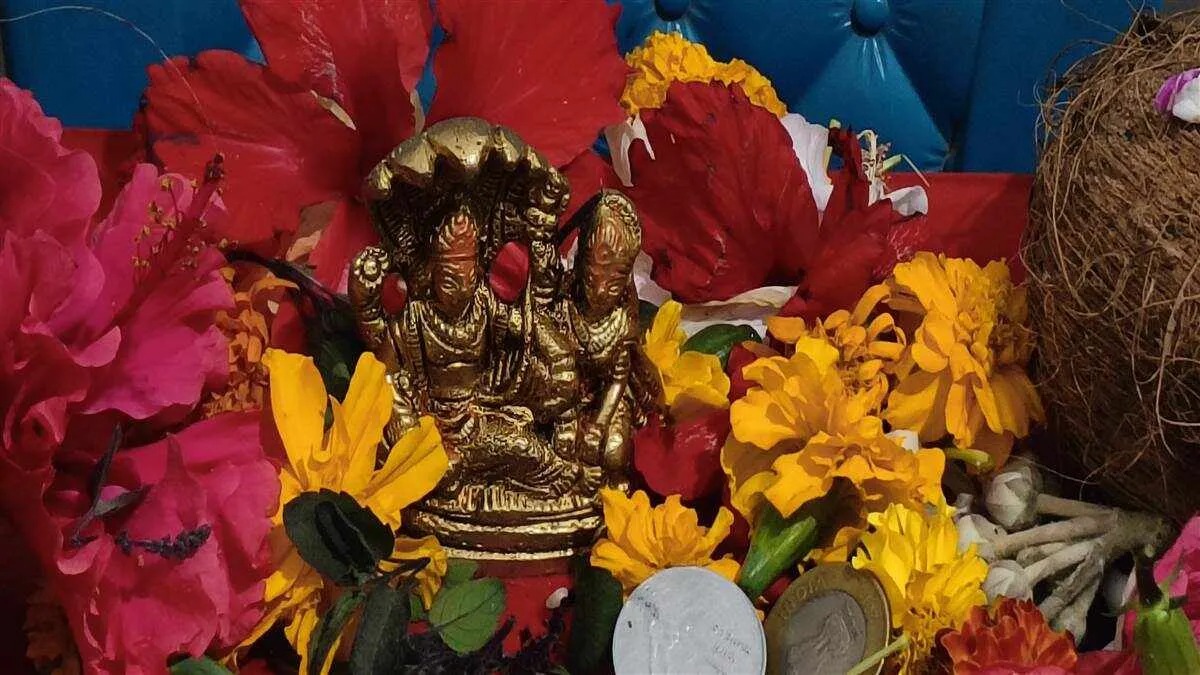 parivartini ekadashi 2025 pr kare daan