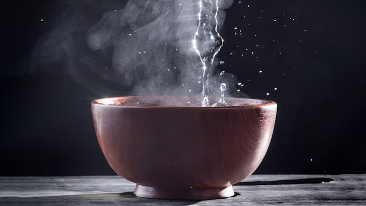 Tricks to remove ants from sugar jar home remedies