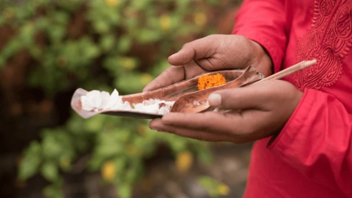 1 - 2025-09-02T142401.087