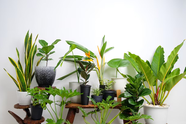 1 - 2025-09-02T181135.721